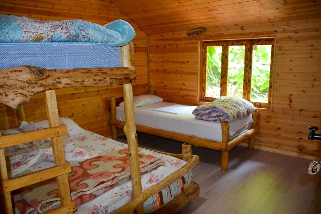 Guest house Eagles Land Moll' e Shoshit