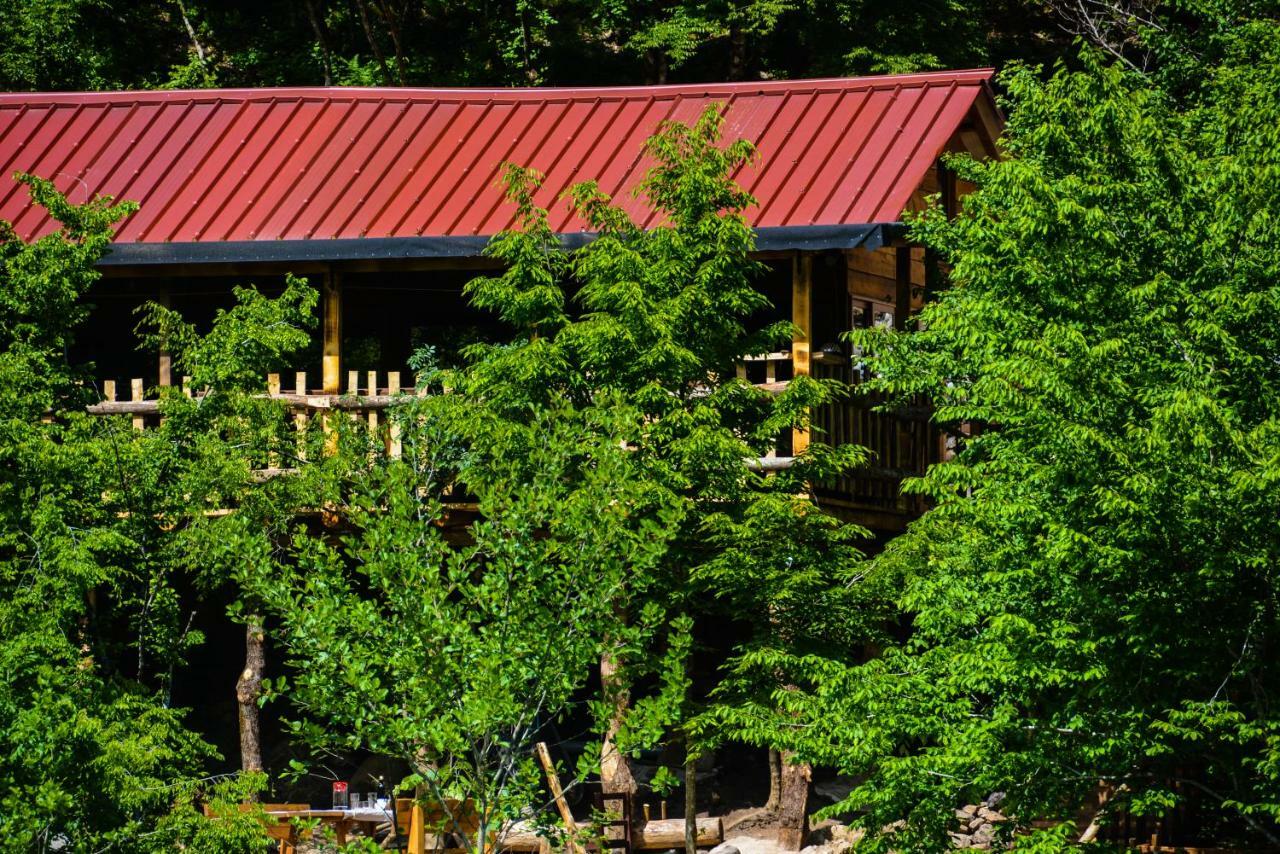 Eagles Land Guest house *
